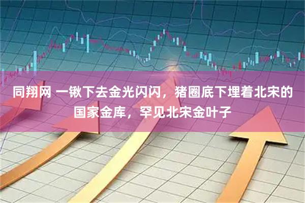 同翔网 一锹下去金光闪闪，猪圈底下埋着北宋的国家金库，罕见北宋金叶子