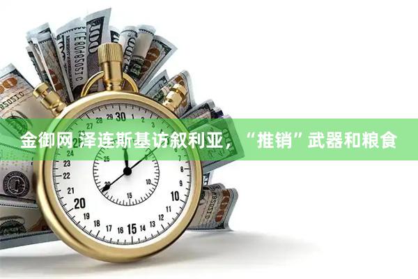 金御网 泽连斯基访叙利亚，“推销”武器和粮食