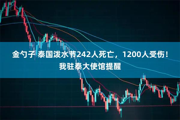 金勺子 泰国泼水节242人死亡，1200人受伤！我驻泰大使馆提醒