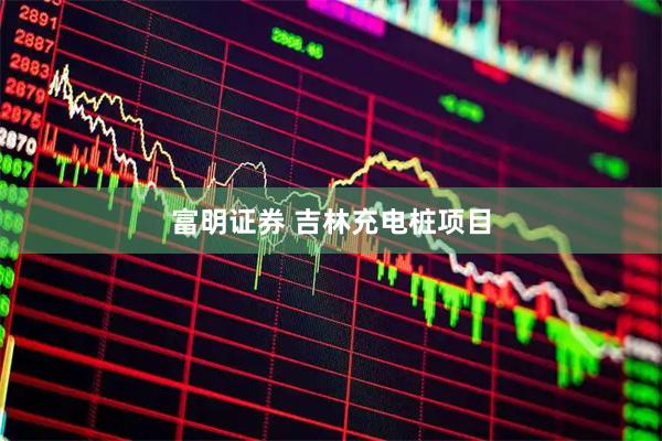 富明证券 吉林充电桩项目