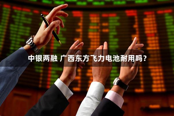 中银两融 广西东方飞力电池耐用吗？