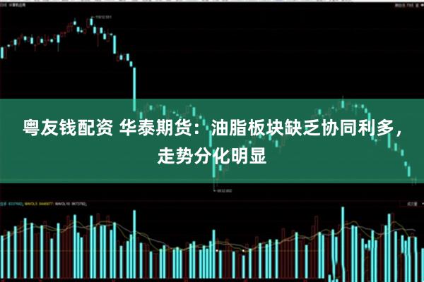 粤友钱配资 华泰期货：油脂板块缺乏协同利多，走势分化明显