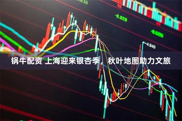 锅牛配资 上海迎来银杏季，秋叶地图助力文旅