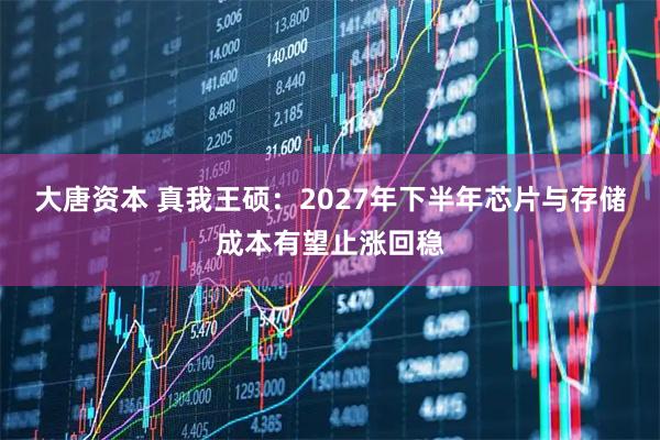 大唐资本 真我王硕：2027年下半年芯片与存储成本有望止涨回稳