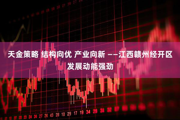 天金策略 结构向优 产业向新 ——江西赣州经开区发展动能强劲