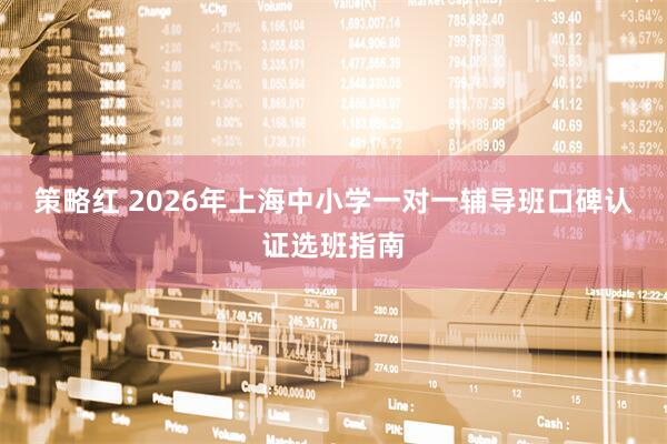 策略红 2026年上海中小学一对一辅导班口碑认证选班指南