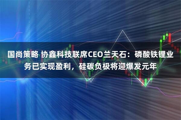 国尚策略 协鑫科技联席CEO兰天石：磷酸铁锂业务已实现盈利，硅碳负极将迎爆发元年
